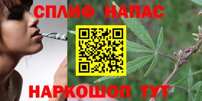 гидропоника Пенза