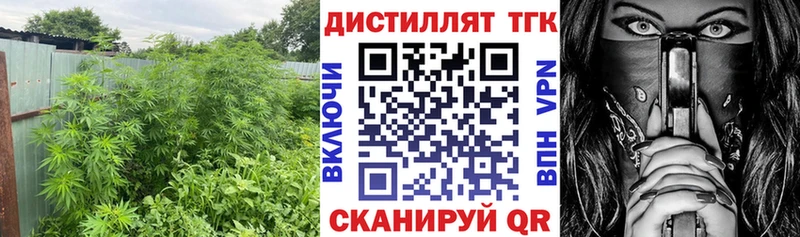 кракен онион Новокубанск ТГК THC oil купить наркотик