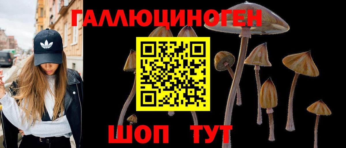 Галлюциногенные грибы GOLDEN TEACHER Новокубанск