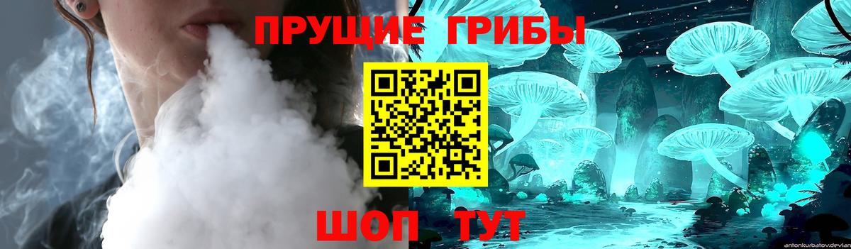 Новокубанск  Галлюциногенные грибы Magic Shrooms  Вход с VPN 
