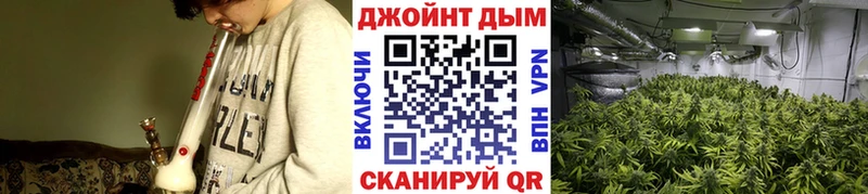 Бошки марихуана Bruce Banner Новокубанск